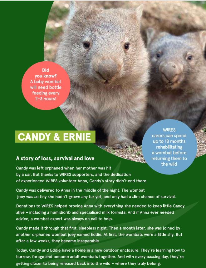 Why We Reinvest: The Story of Candy & Ernie